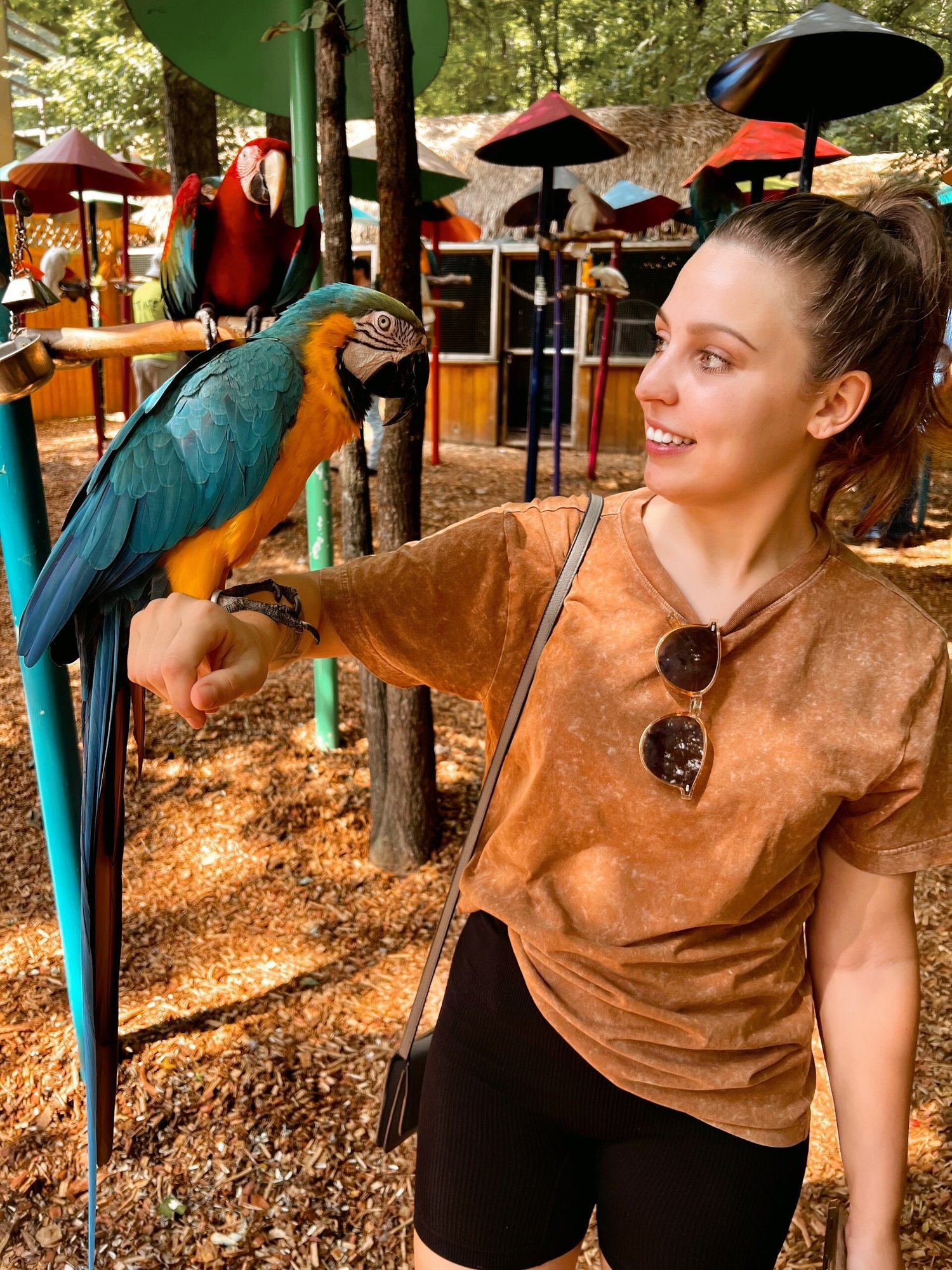 parot_portrait_alexis